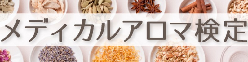 �u���f�B�J���A���}����v���i�擾�u���E��
��T�C�g���T�C�g